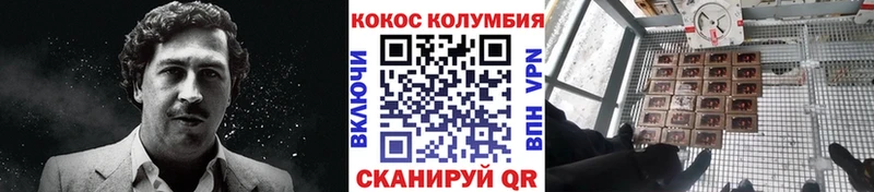 Кокаин Fish Scale  Ялуторовск 