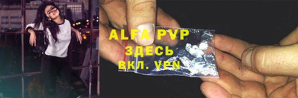 стаф Абинск