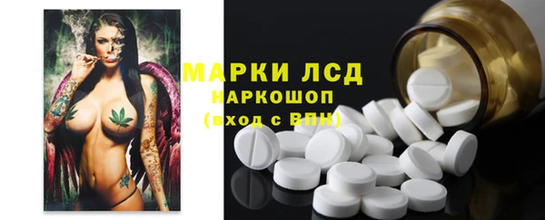 стаф Абинск