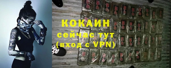 стаф Абинск
