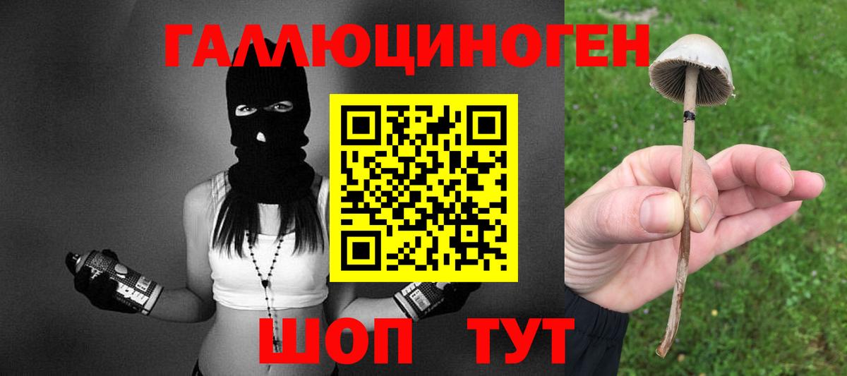 Галлюциногенные грибы мицелий  Вход с VPN  Галлюциногенные грибы прущие грибы  Ялуторовск 